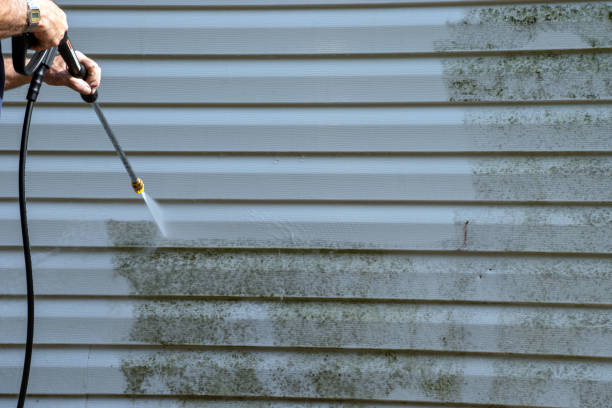 Best Same-Day Junk Removal Services  in Danbury, CT